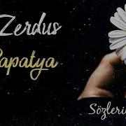 HiraiZerdüş Papatya Sözleriyle