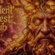 Ancient Forest Dub Mystical Psy Reggae Journey