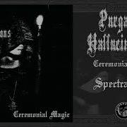 Purgatory Hallucinations Ceremonial Magic Full Album