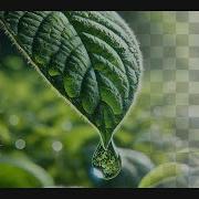 Fade Image To Transparent In Adobe Illustrator