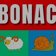 What Is The Fibonacci Sequence The Golden Ratio Simple Explanation And Examples In Everyday Life