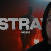 1ST LISTEN REACTION THROATCUT Stray OFFICIAL VIDEO