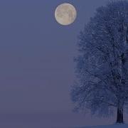 Moonlight Feels Right The Cold Moon December ColdMoon Fullmoon Crazyabounds