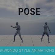 Taekwondo Style Animation Pack
