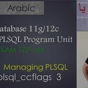 111 125 Oracle PLSQL Managing PLSQL Plsql Ccflags 3