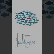 Anomaly Detection Showcase Methods Like Statistical Analysis And Isolation Forests To Detect Outlier