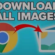 How To Scrape And Download Images From Any Website