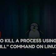 How To Kill A Process Using The Kill Command On Linux VPS Tutorial