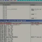 OllyDbg Tutorial Part 3