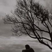 Seasons Change