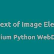 Get Text Of Image Element In Selenium Python