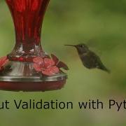 Input Validation With Python