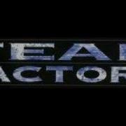 Fear Factory Martyr