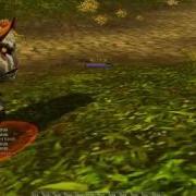 Aion Bug Avi