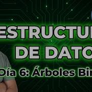 Domina Árboles Binarios En Python Estructuras De Datos Desde Cero