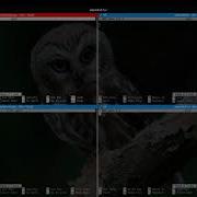 Terminator How I Update Multiple Servers At One Time Linux Quick Tutorial