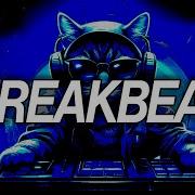 BREAKBEAT MIX 2025 Nocturnia Breakbeat Podcast 204