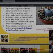 Making Hoverfly Lagoons