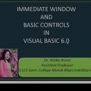 Immediate Window And Basic Controls In VB 6 0