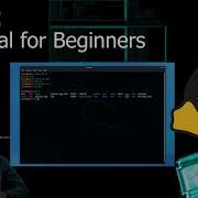 Терминал Kali Linux Командная строка для начинающих руководство