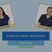MOR104 Morphological Processes