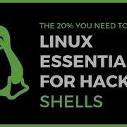 Linux Essentials For Hackers 10 Shells Bash Configuration
