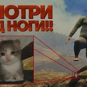 Обзор Baby Steps