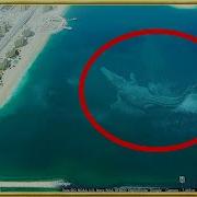 30 Giant Creatures Found On Earth Caught On Camera