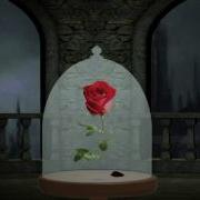 Falling Petal