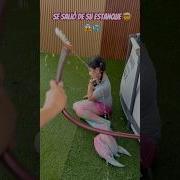 24Q7Yyqw9Lea4P092Aylwa