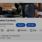 THE LIKE BUTTON TURNED INTO A CAT Cat