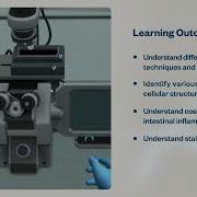 Microscopy Virtual Lab