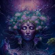 NUMA Music Of Sacred Rainforests With Steffen Ki Mother Organic Downtempo Nature Ambient