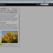 Storiesaround CMS Use A Wysiwyg Editor TinyMCE