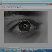 Iris Recognition Using Cumulative SUM Based Change Analysis