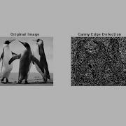 MATLAB Canny Edge Detection Tutorial Step By Step Implementation With Code