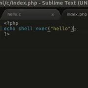 PHP Tutorial Run C Program From PHP On Ubuntu