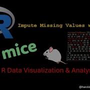 R Data Visualization Analysis Impute Missing Values With MICE