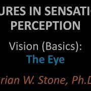 Sensation And Perception Vision Basics Pt1 The Eye