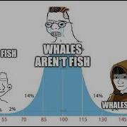 Sharks Aren T Fish