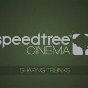 SpeedTree 8 4 Shaping Trunks