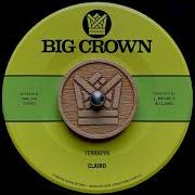 Clairo Terrapin BC160 45 B