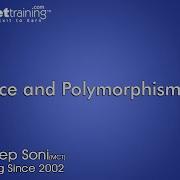 Interface And Polymorphism In C C Tutorial For Beginners