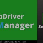 WebDriver Manager In Selenium Executing Test With Out Driver