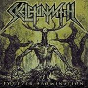 Skeletonwitch Of Ash And Torment 8 Bit
