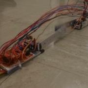 Autonamo Autonomous Bio Metric Inchworm