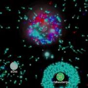 Code Swarm OsiriX Project