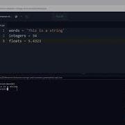 Difference Between Strings Integers And Floats In Python