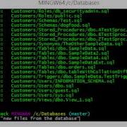SQL Schema To Source Control With SchemaDrift