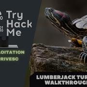 Exploiting Log4j And Escaping Docker Container TryHackMe Lumberjack Turtle Room Walkthrough